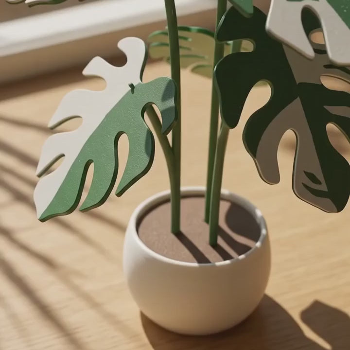 Folia Coaster- Monstera